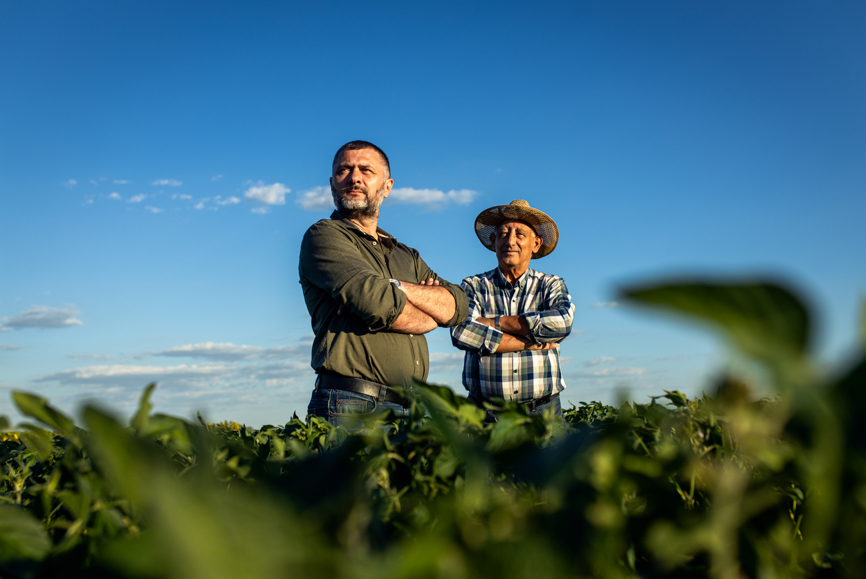 Dois agricultores em um campo examinando a safra de soja